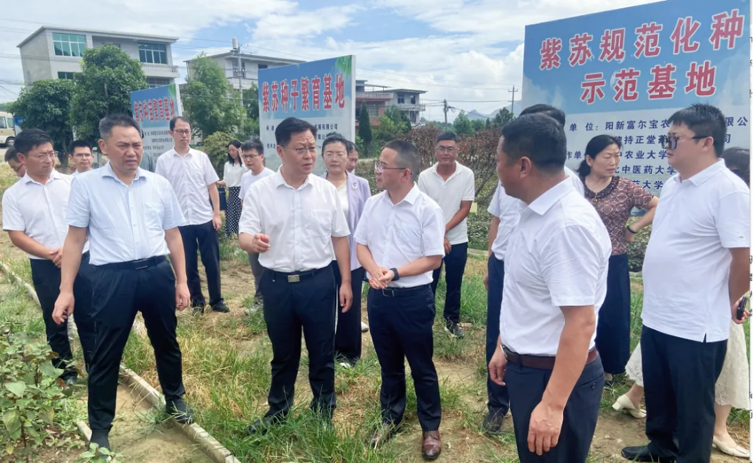 企業(yè)微信截圖_17533202077496.png